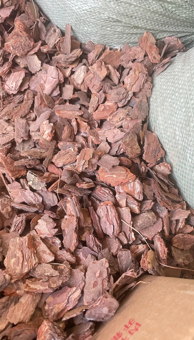 强力生根松树皮 蕙兰 剑兰 蝴蝶兰 养护植料