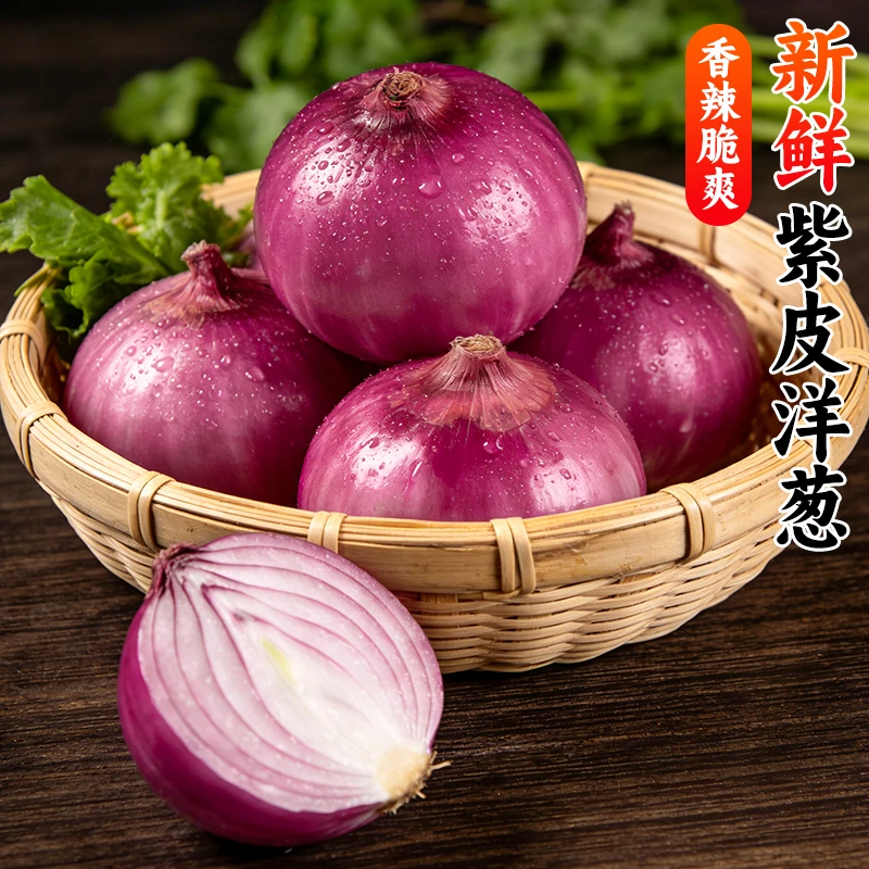 【买5斤送4斤带箱9斤】2025新鲜现挖紫皮洋葱炒菜凉拌配料应季蔬菜
