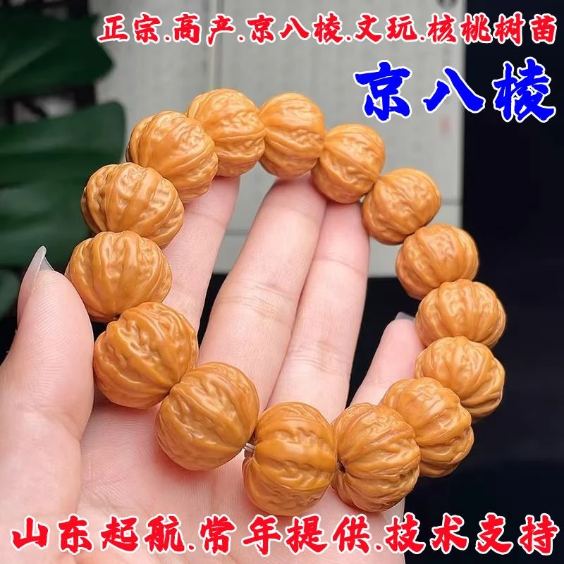 京八棱文玩猴头核桃树苗手串粗筋正圆小核桃苗盆栽地栽南北方种植