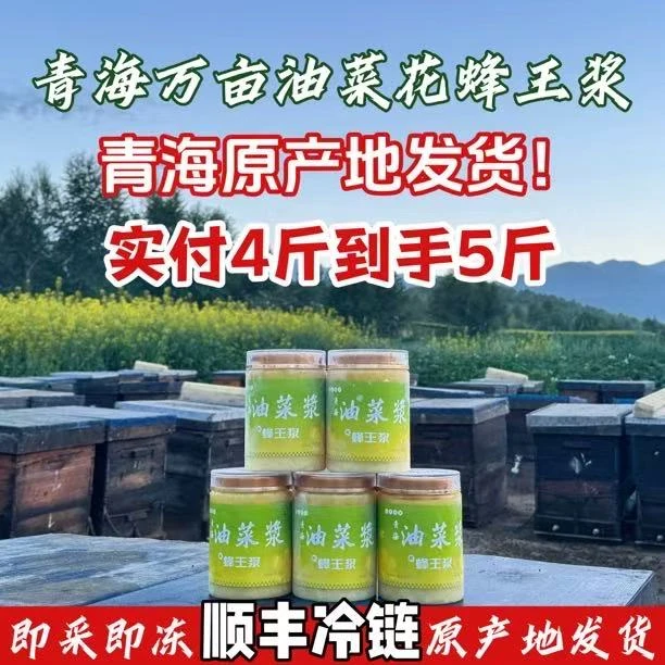 勤蜂漫野【青海产地直发】鲜蜂王浆高原油菜花蜜源现取锁鲜冷链