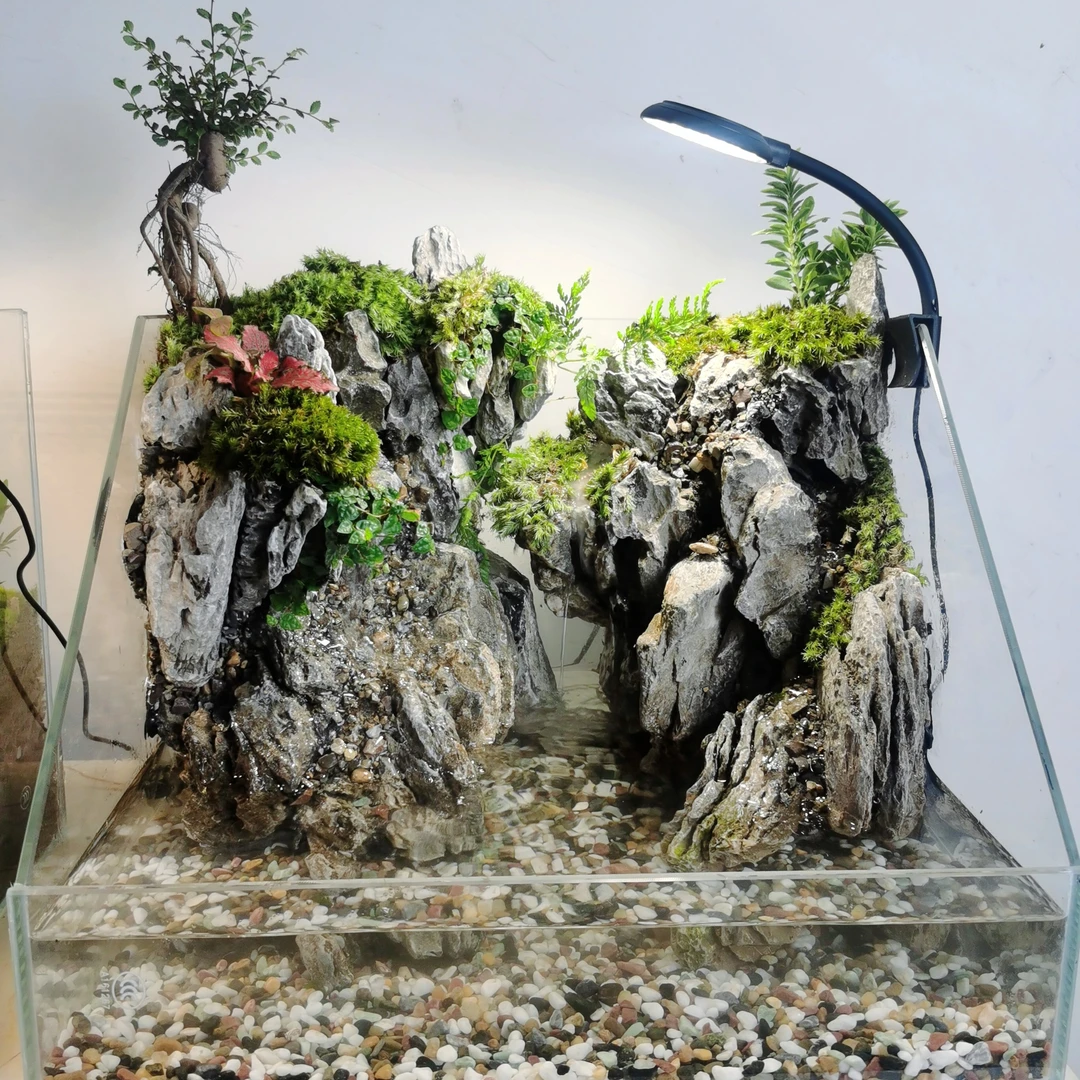 40缸加雾化真石头真植物微景观室内桌面水陆缸