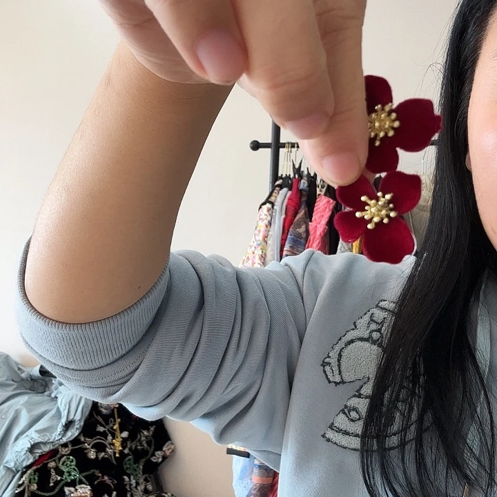 坏蛋飞国会你奶奶