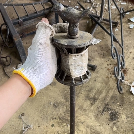 哈哈哈哈哈奇奇怪怪