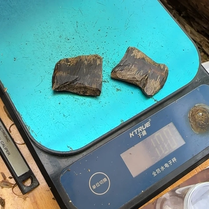 鸿***志沉香碎屑沉香棋楠沉香红骨凹身10克