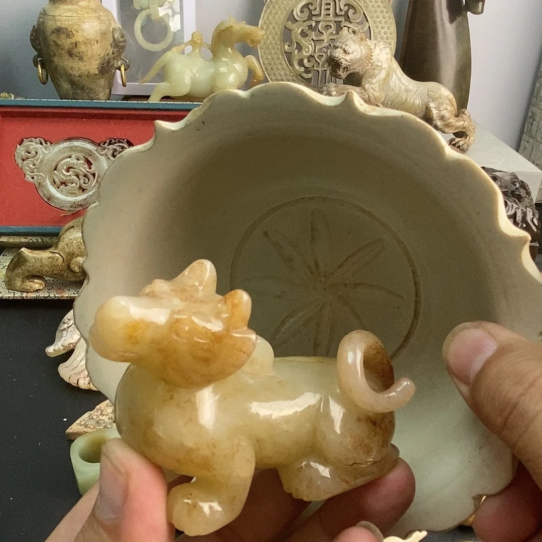 瓷片开播福利 福利多多