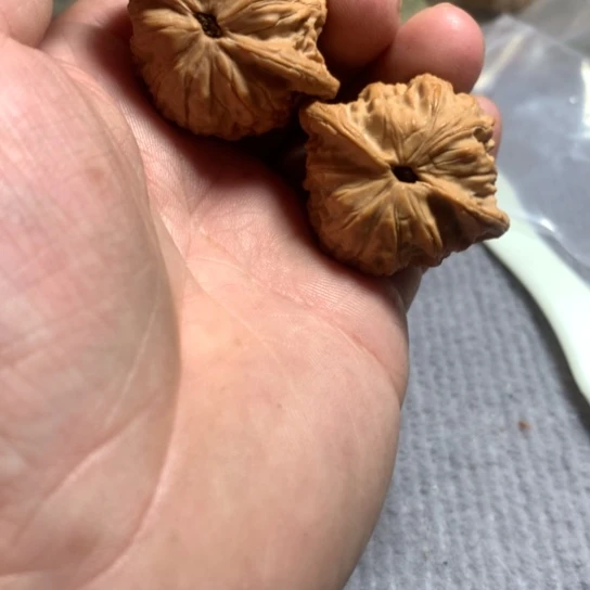 文玩核桃吊坠公子