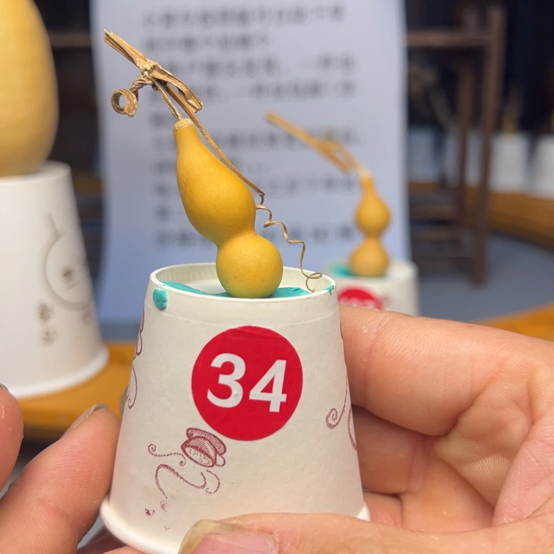 闪电购自助下单编号34