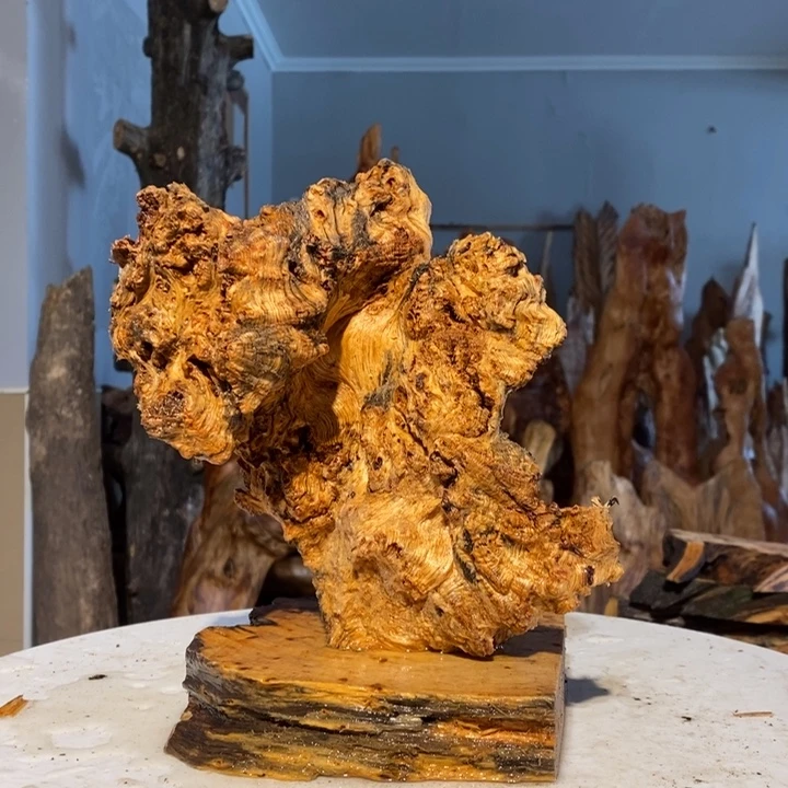 A****9我们都是你的粉丝36