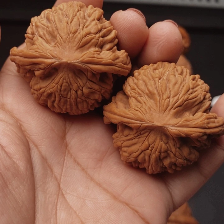 核桃虎头44尺核桃