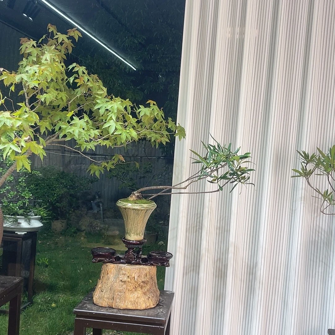 用***9无花朵5555859999999