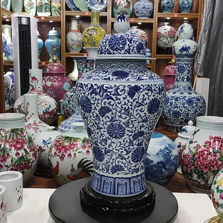 精***病瓷片景德镇陶瓷将军罐