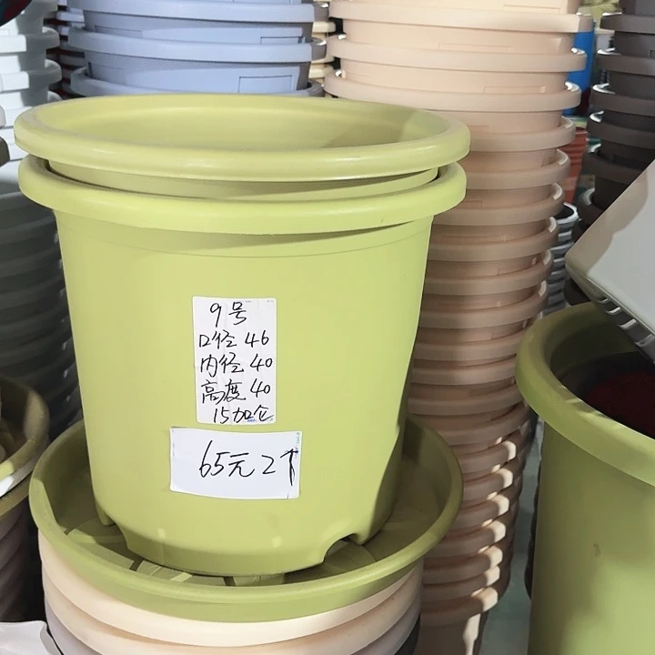 四季9#口径46高40无托果绿3个