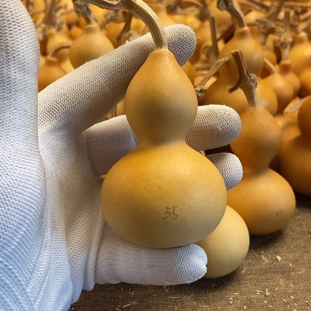 文玩葫芦 完美主义者 慎拍55