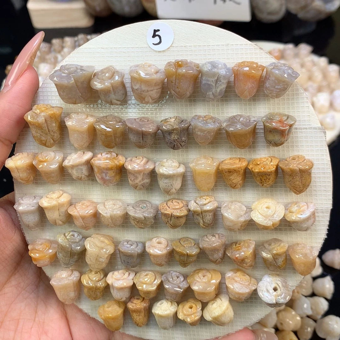 【闪购商品】颈饰未镶嵌硅化珊瑚（珊瑚玉）5号 5/颗 可挑