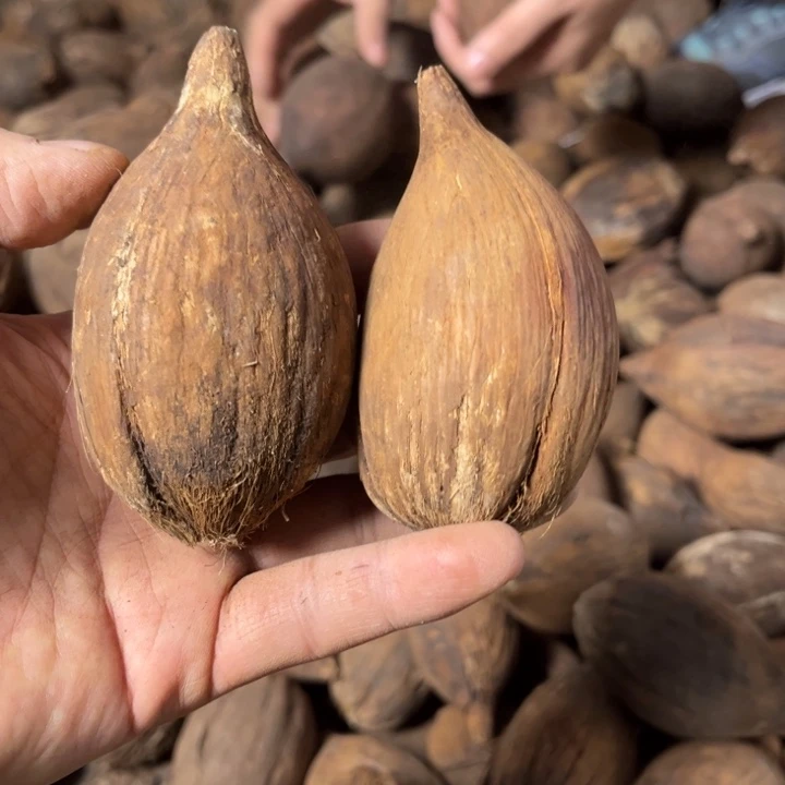 吊坠千眼菩提千眼菩提，84 号。