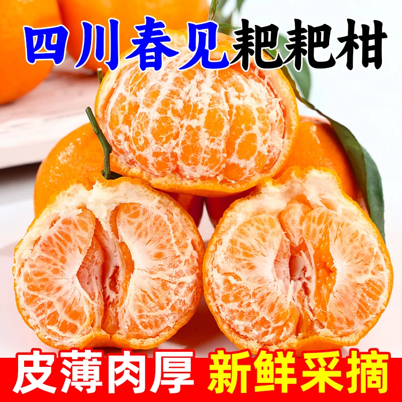 皮薄爆汁正宗四川春见耙耙柑带箱8-9斤应季水果柑橘超甜耙耙柑