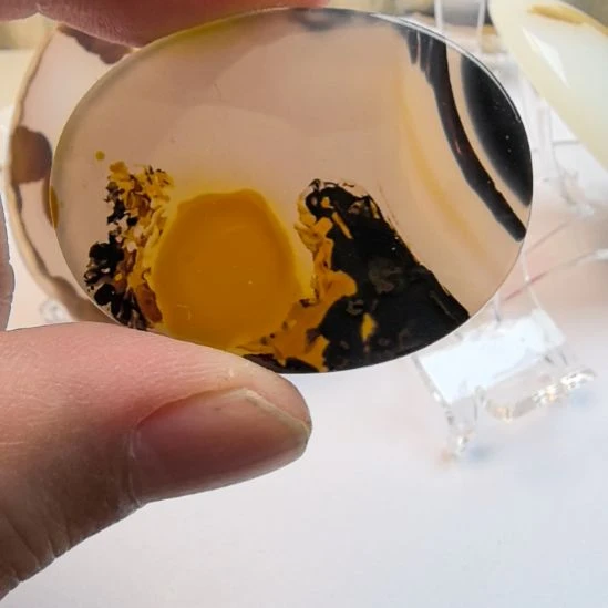 非金属时尚饰品可配带可观赏