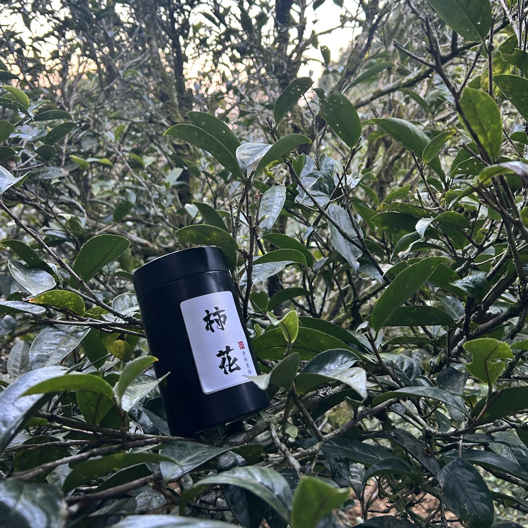 自家（杮花）淡淡杮果香带微微奶奶回甘爽口枞韵山韵明显