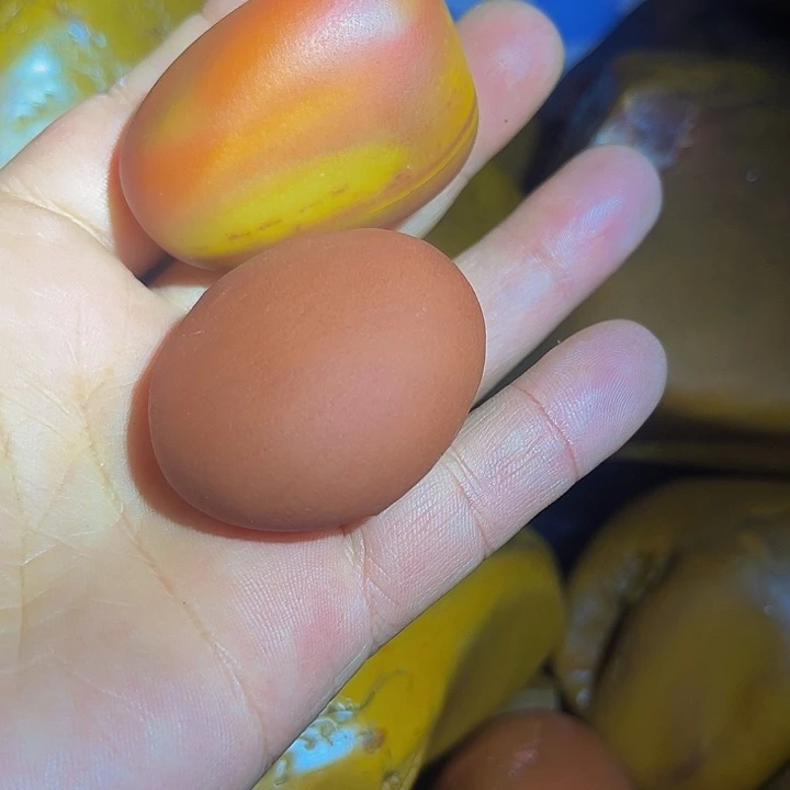 江西石郭*黄蜡石的设计