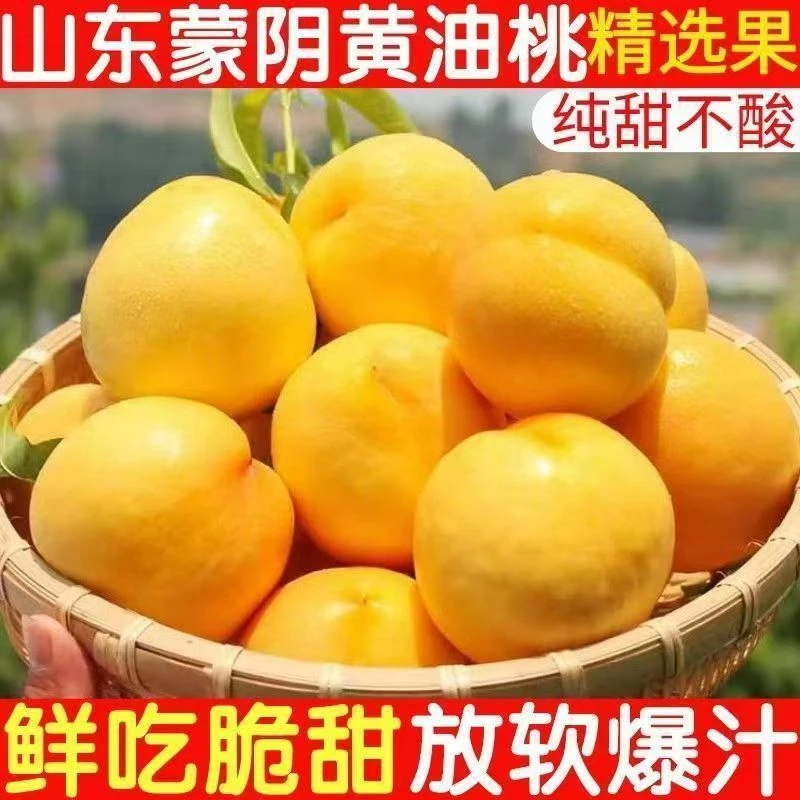 正宗蒙阴黄金油桃新鲜应季黄金油桃皮薄甜嫩多汁