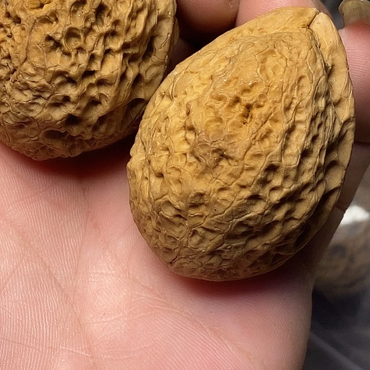 文玩核桃把件云南铁核桃B35