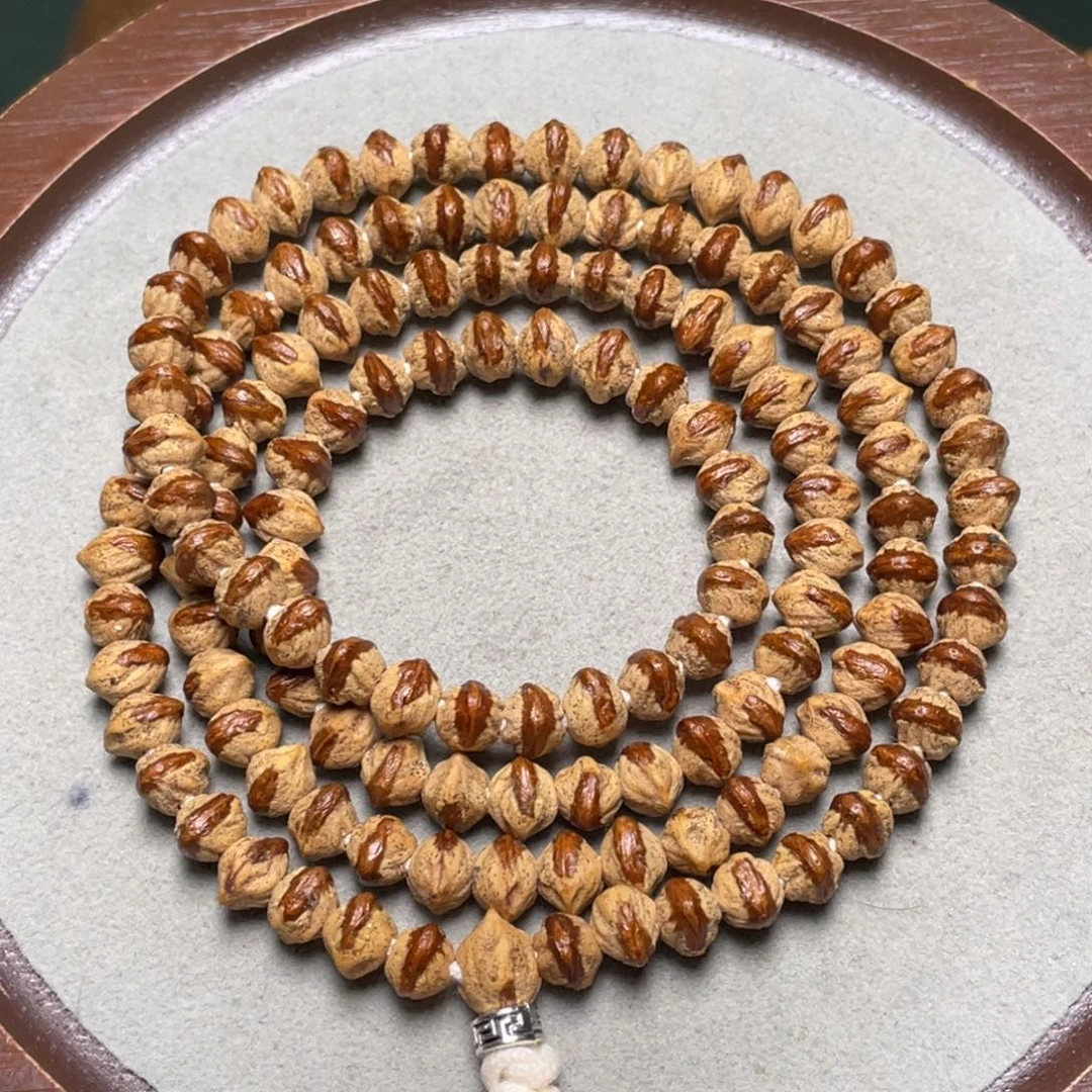 柏香籽/百香籽吊坠红芽刺忙长串