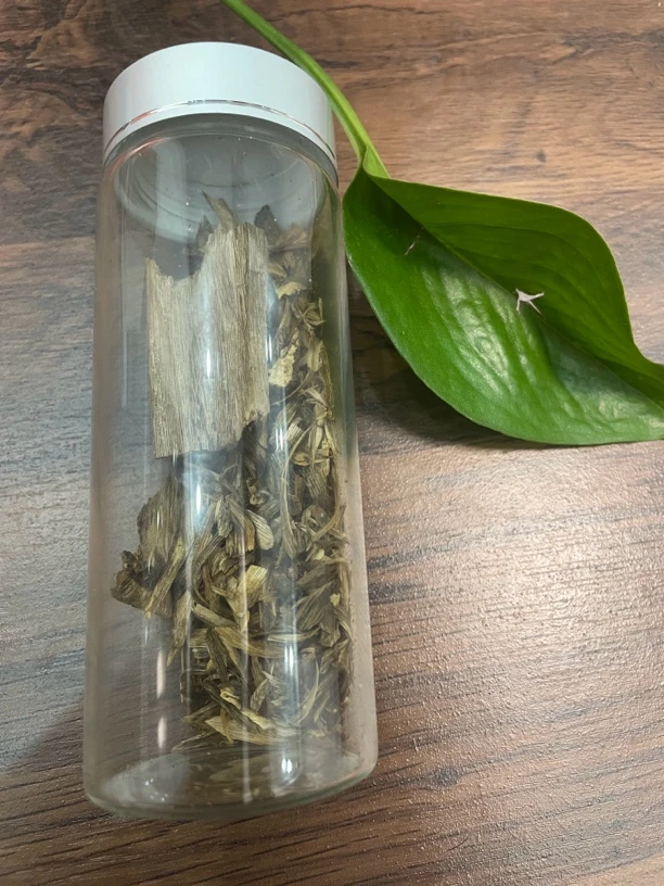 沉香08圆碎屑多样性发一