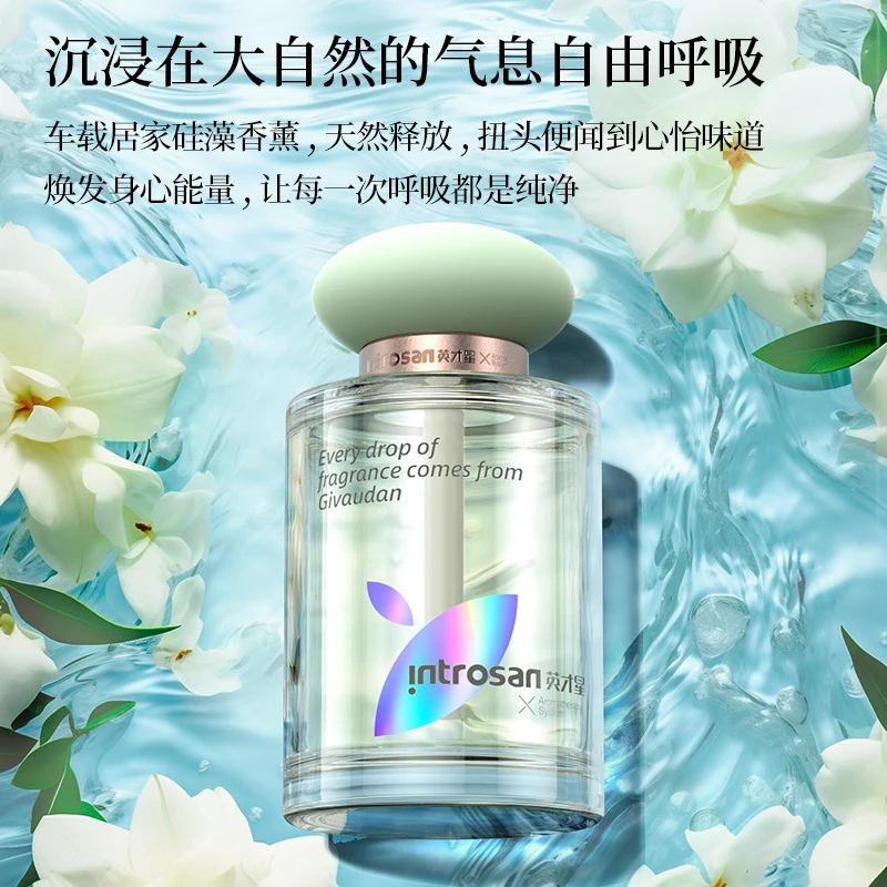 高级感车载香薰硅藻进口香氛任意车型通用持久清新英才星车载香水