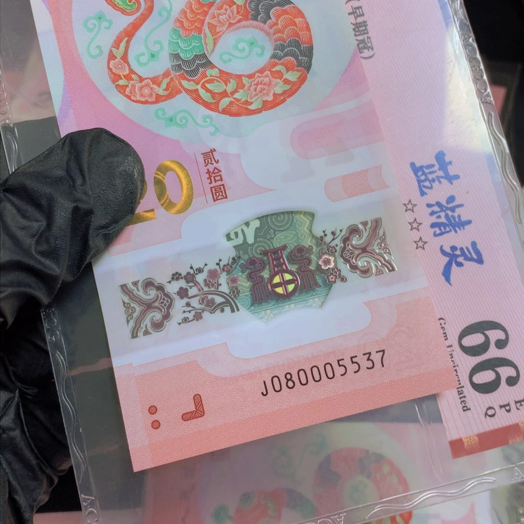 080005537单张一张11111