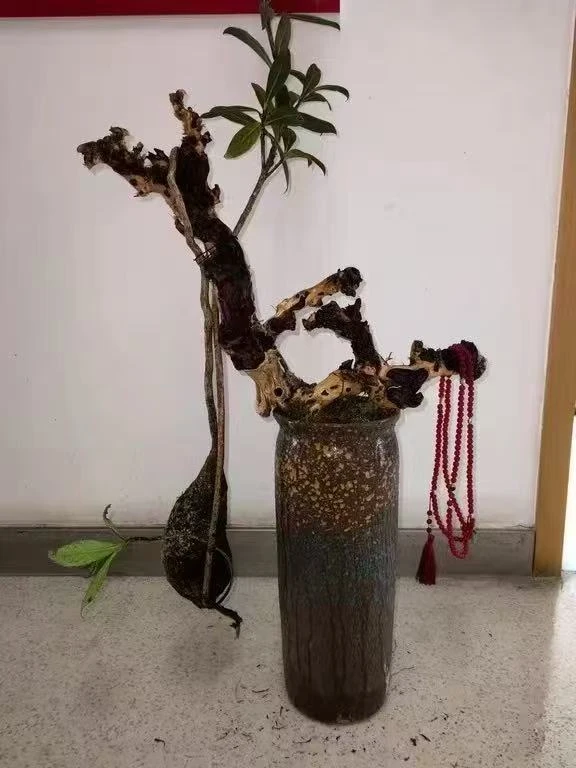 云南五翅莓补差价链接