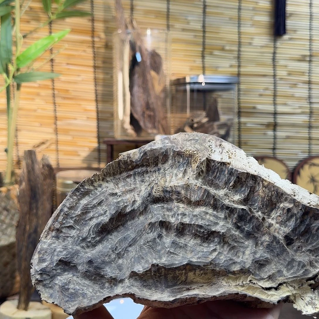 沉香碎屑沉香沉香老头70g