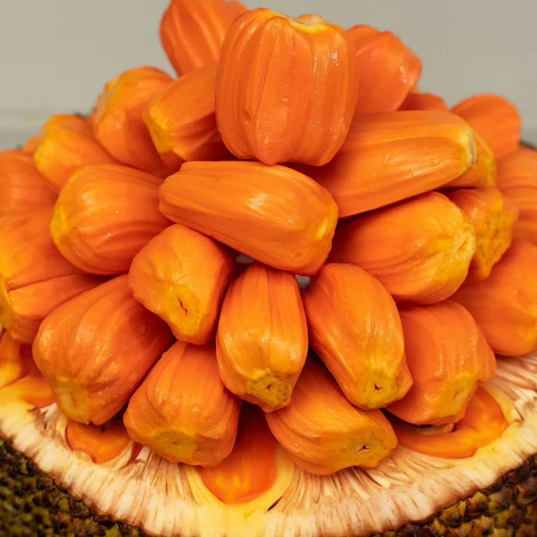 越南进口印尼红菠萝蜜红肉肉大脆甜可口香味浓郁热带水果印尼红菠萝蜜越南社会主义共和国