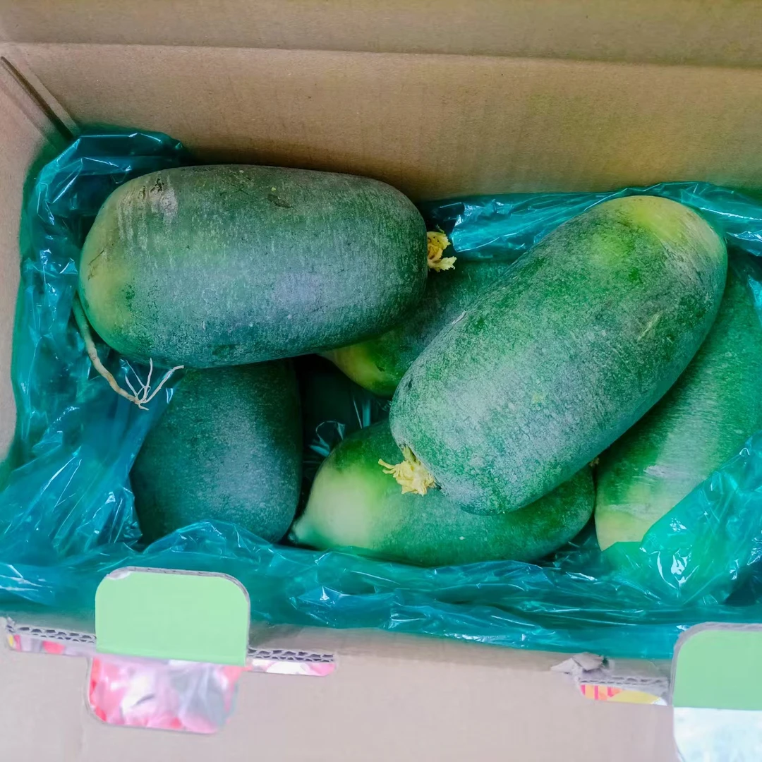 水果萝卜一箱