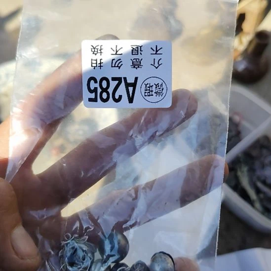 一***夫金属朋友拍的老物件持续中