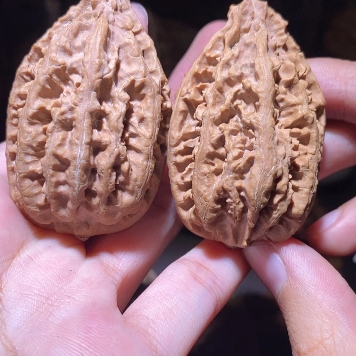 把件文玩核桃东北野生楸子小园 204