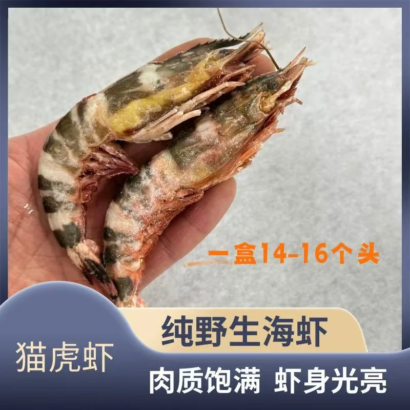 【顺丰包邮】纯野生斑节虾（猫虎虾）肉质饱满 深海野生虾速冻发货