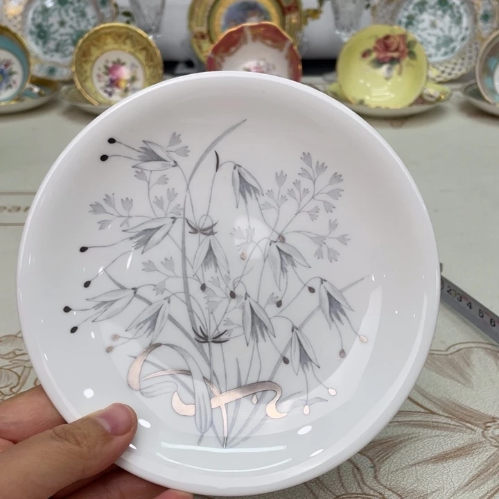 盘维多利亚欧洲中古