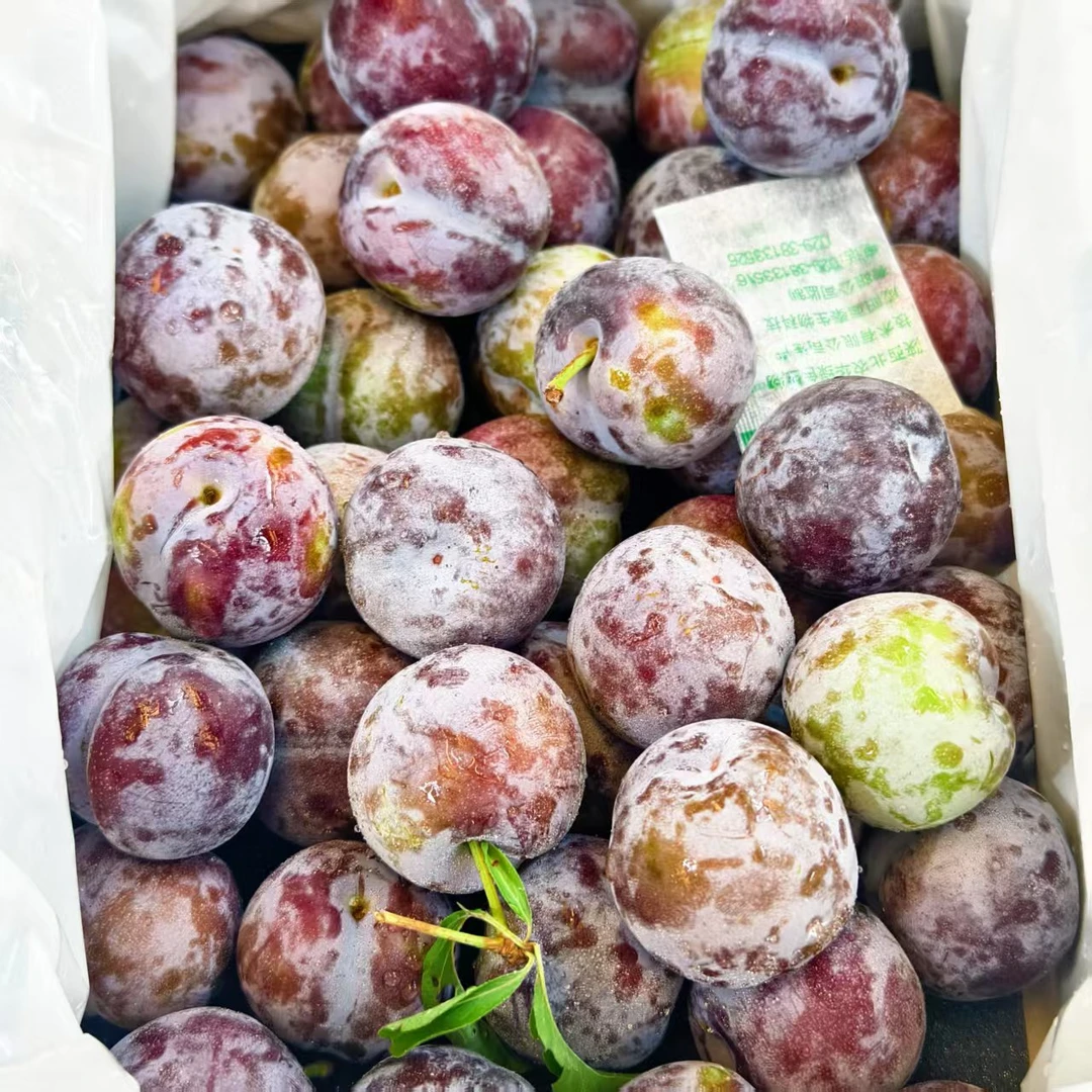 【净果3斤】蜂糖李高山产地现摘现发当季新鲜脆甜可口水果云南云南省