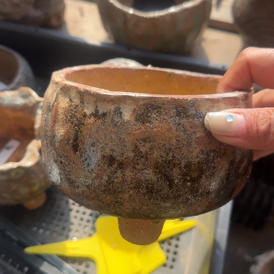 北遇一物一拍妞妞