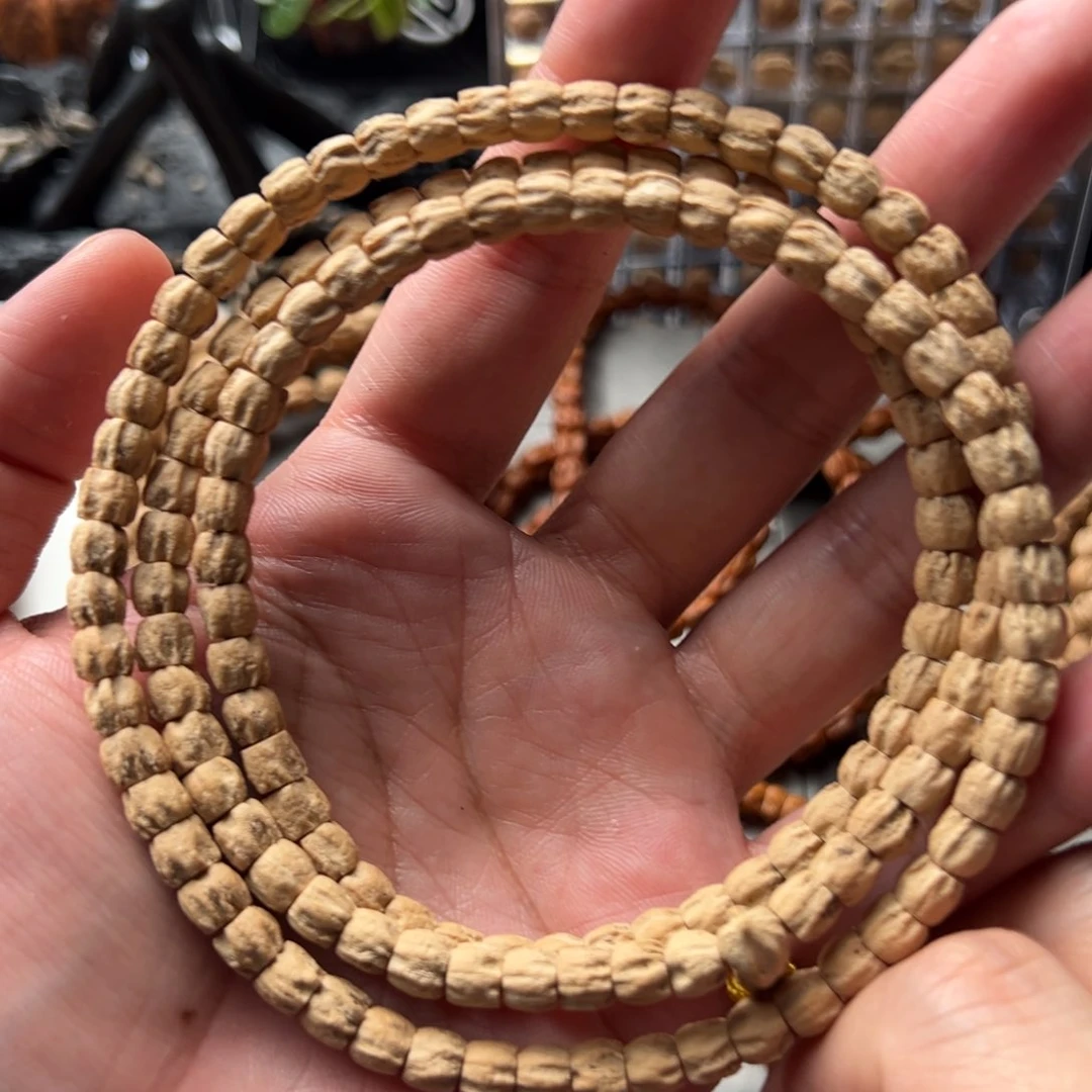 柏香籽/百香籽手串L***-新品