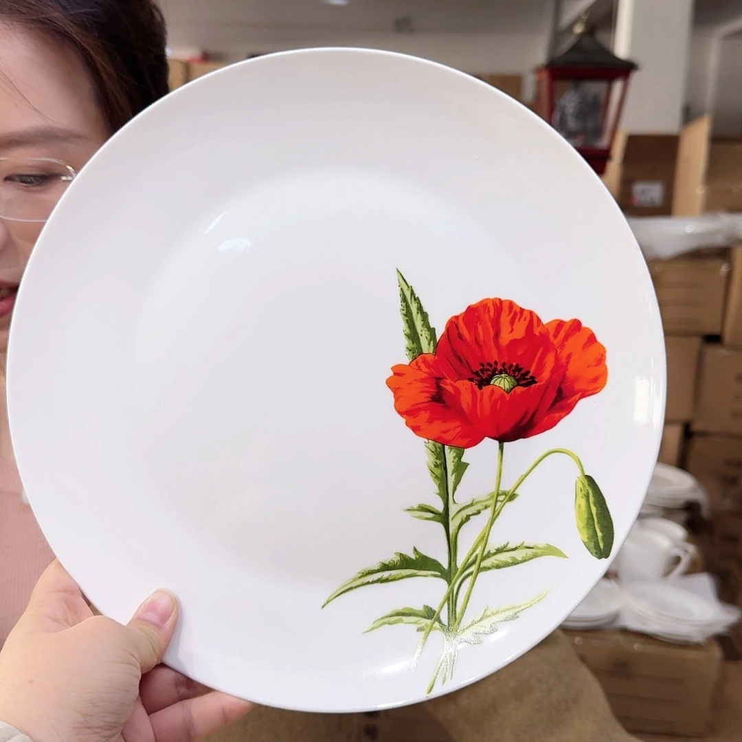 骨瓷骨瓷10.5英寸平盘27cm1个外贸骨瓷