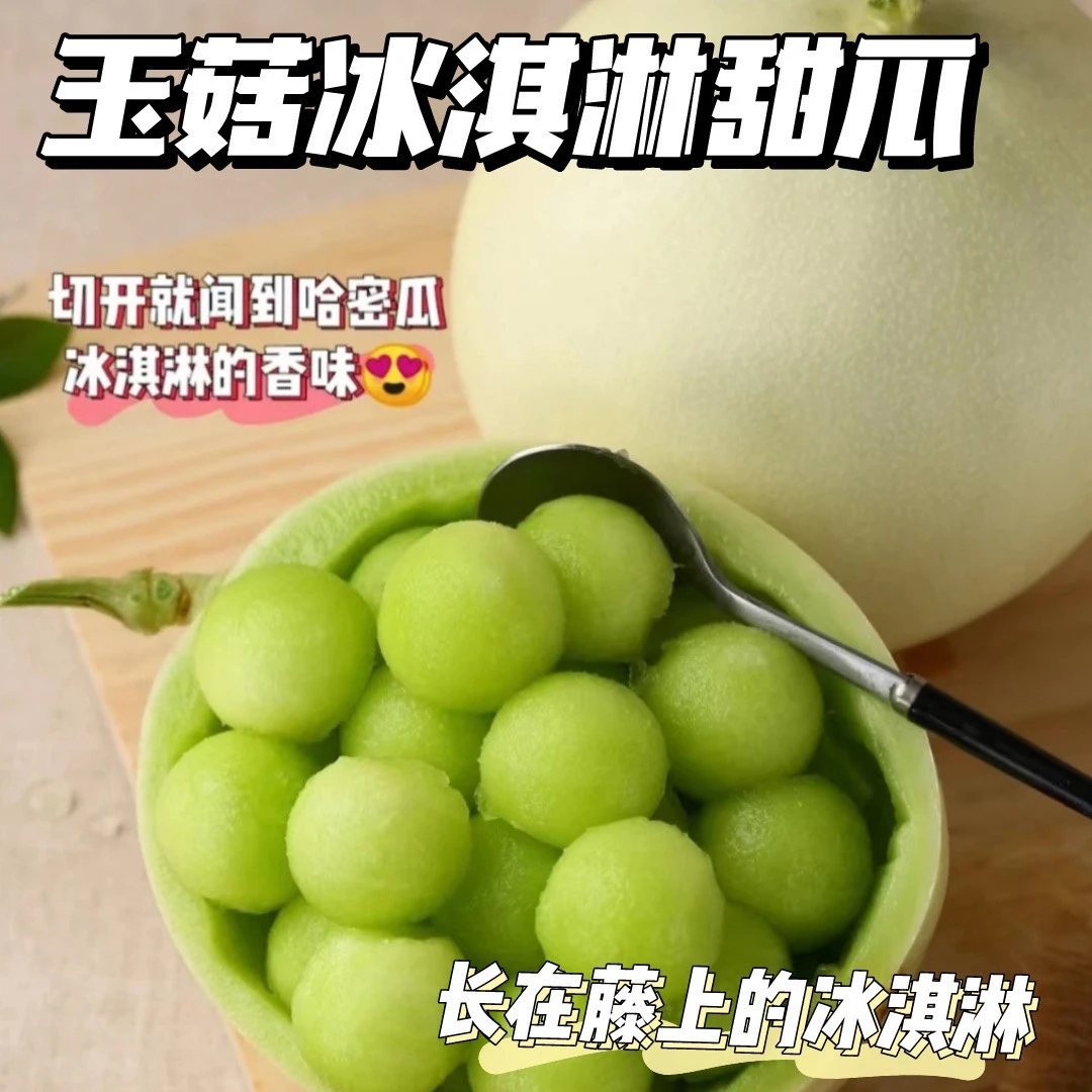 冰淇淋玉菇甜瓜 | 绵密细腻水润解渴 | 瓜界冰淇淋
