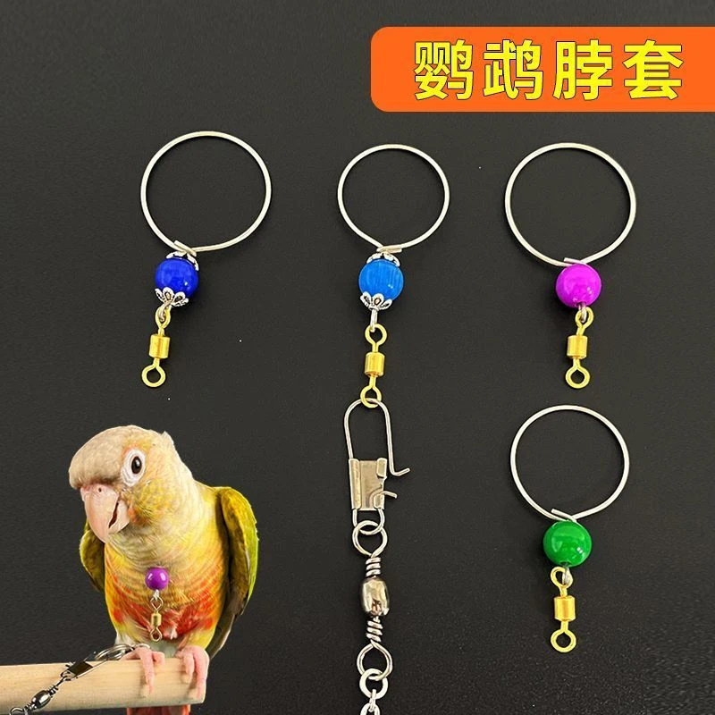 虎皮鸟用脖套牡丹玄凤鹦鹉脖圈不锈钢鸟链子训鸟用具用品活扣