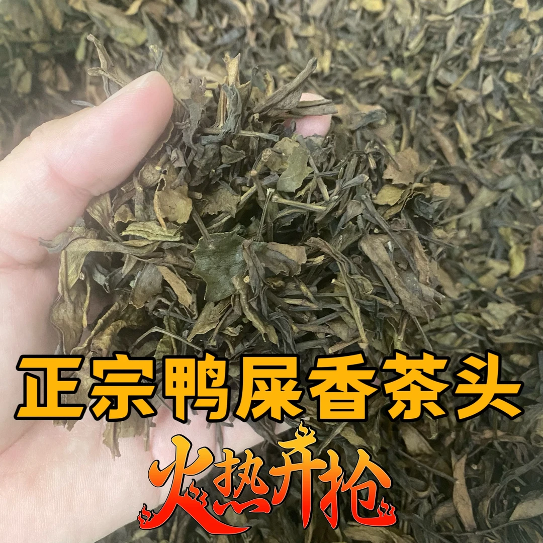 广东潮州凤凰单丛鸭屎香茶头粗枝大叶清香回甘袋装