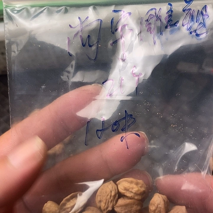 尚***塑猴头核桃吊坠嵩山蛤蟆
