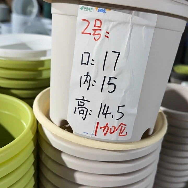 四季2号灰白无托10个特价微瑕