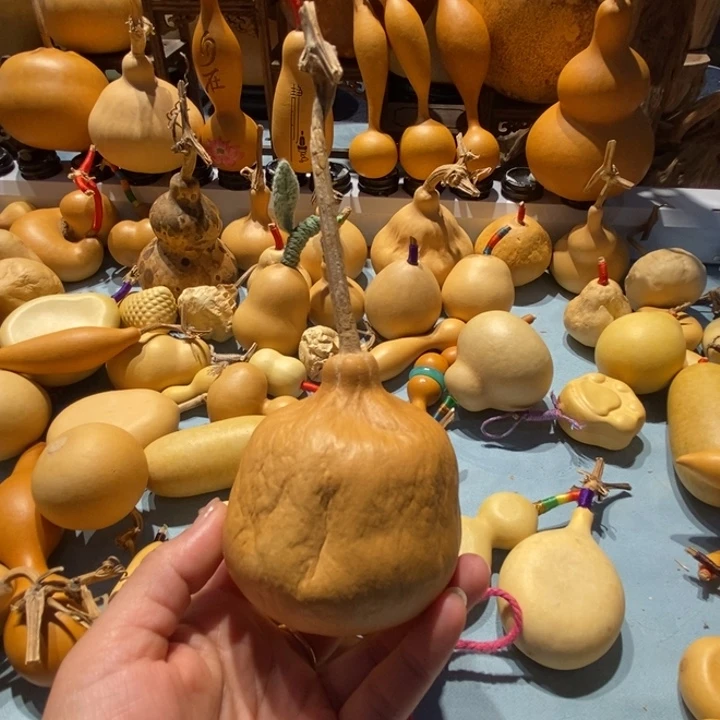 你***啊葫芦花为一大品种或多枝