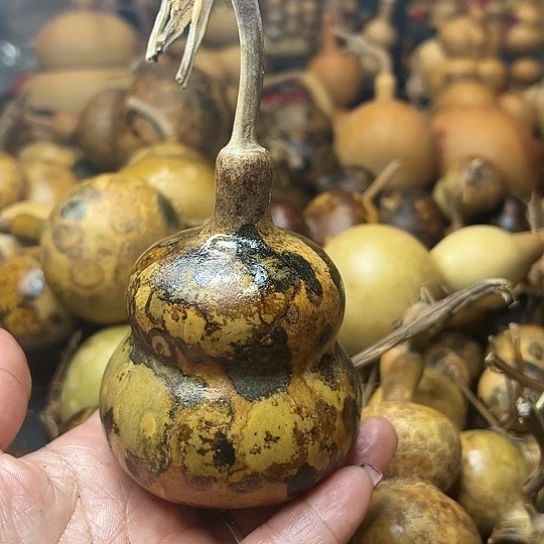 ꧁**꧂葫芦葫芦葫芦葫芦