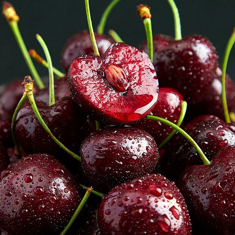 【鲜果达】车厘子智利进口海运拉宾斯 2J-4J 5斤原箱 内附果径卡