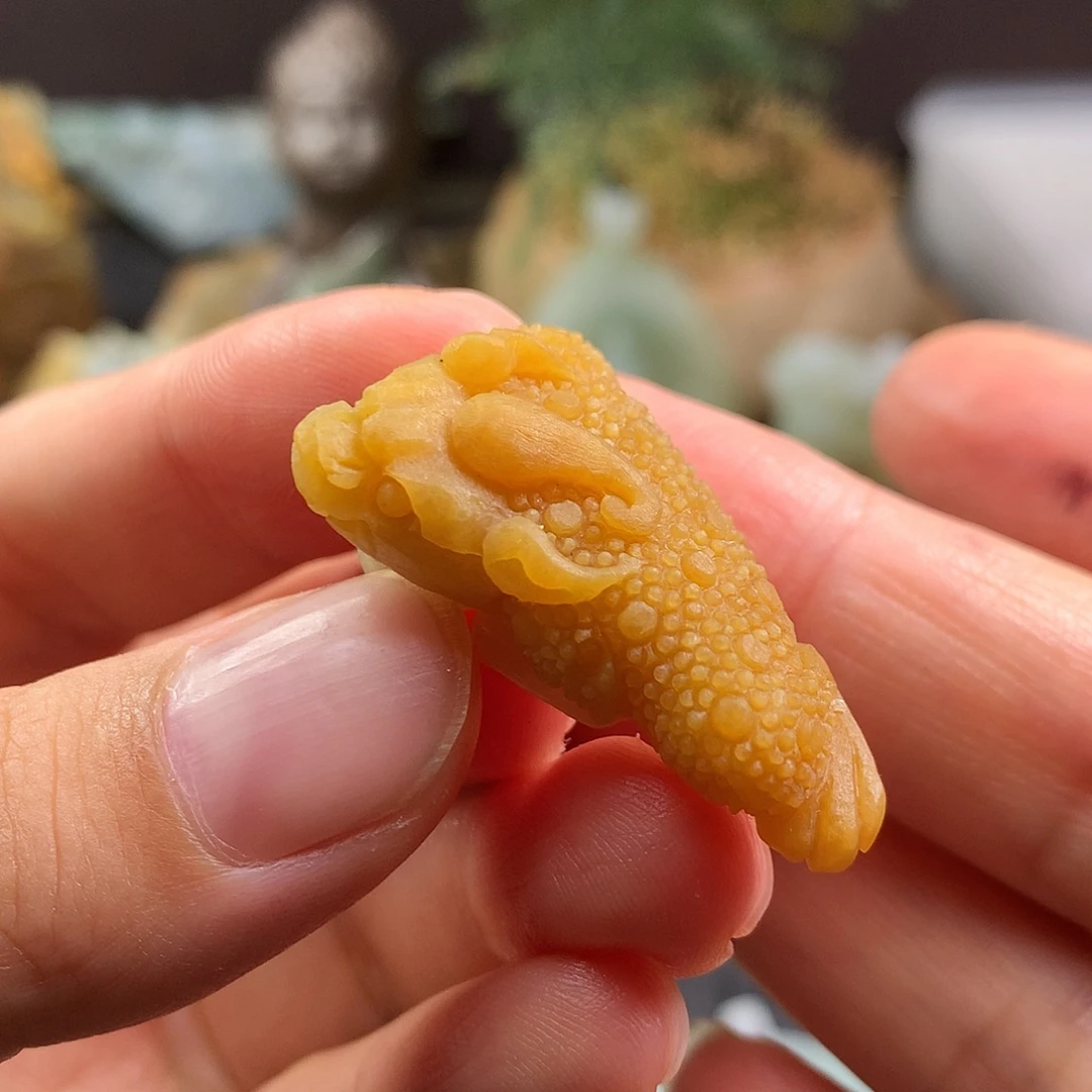 未镶嵌定制翡翠金蟾